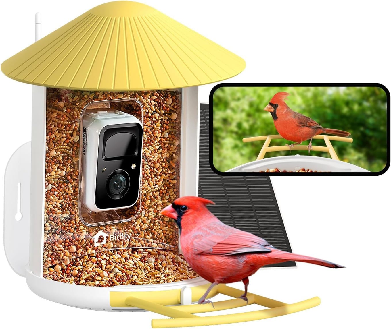 NETVUE Birdfy smart bird feeder camera in blue with solar roof panel and front-facing 2K AI camera above the seed tray